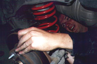 springrear2