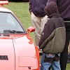 Snygg Pantera